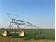 Absolute Auction 2500 Head Dairy and Irrigated Farm Land Photo 20