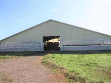 618 344 Acre Free Stall Dairy Sheldon Wi With Excellent Set